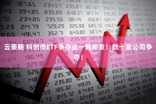 云策略 科创债ETF争夺战一触即发！数十家公司争夺！