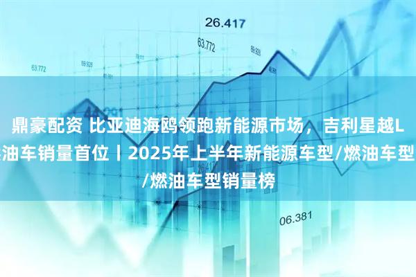 鼎豪配资 比亚迪海鸥领跑新能源市场，吉利星越L位列燃油车销量首位丨2025年上半年新能源车型/燃油车型销量榜