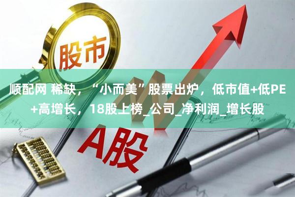 顺配网 稀缺，“小而美”股票出炉，低市值+低PE+高增长，18股上榜_公司_净利润_增长股
