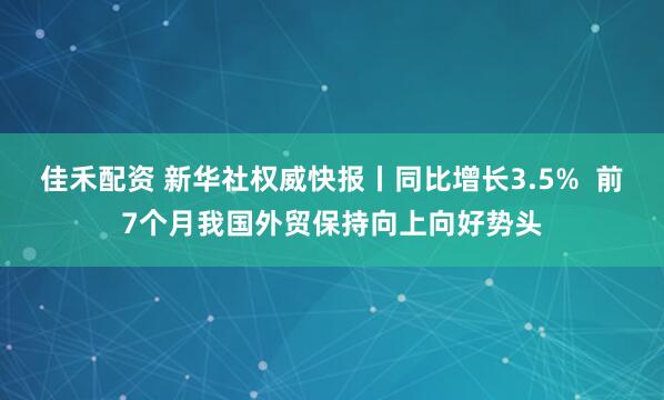 佳禾配资 新华社权威快报丨同比增长3.5%  前7个月我国外贸保持向上向好势头