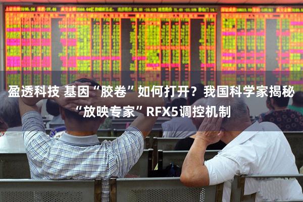 盈透科技 基因“胶卷”如何打开？我国科学家揭秘“放映专家”RFX5调控机制
